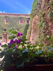 Κήπος έξω από το La Casetta nel Cortile +37 φωτογραφίες