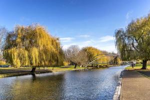 a river with a bridge in a park with trees at Comfortable Apartment Central Bedford FREE Parking & Private Garden in Bedford