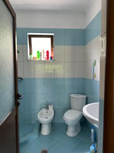 a blue bathroom with a toilet and a sink at Nia's Farm in Librazhd