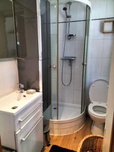 een badkamer met een douche en een toilet bij Coin de Paradis in Saint-Leu-la-Forêt
