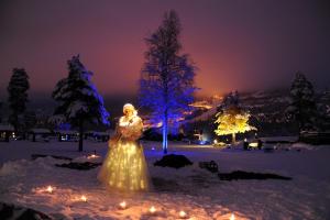 ハーフィエルにあるHunderfossen Snow Hotelのギャラリーの写真