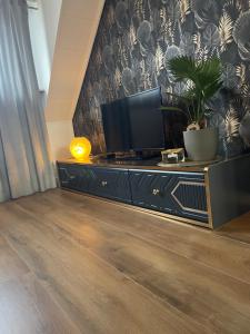 un soggiorno con TV su un comò di Ferien und Monteurwohnung a Saarbrücken