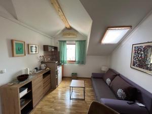 Köök või kööginurk majutusasutuses Guesthouse Fjaka