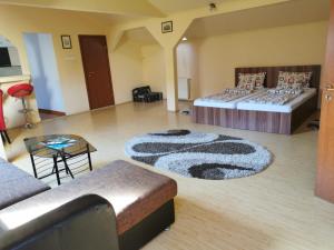 sala de estar con 2 camas y sofá en Premier Apartment, en Satu Mare