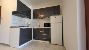 a kitchen with black and white cabinets and a refrigerator at Apartments Stefan Cesarica in Cesarica