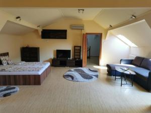 sala de estar amplia con cama y sofá en Premier Apartment, en Satu Mare