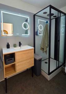 a bathroom with a sink and a glass shower at Élégant studio Les Tourtereaux in Saint-Denis