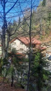 een gebouw op de achtergrond met bomen op de voorgrond bij Izvorul Maleii in Petrila