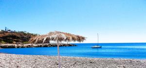 Naturlandskabet i nærheden af lejligheden + 4 billeder