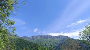 Un paisaje natural cerca del departamento
