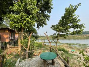 un taburete verde sentado en una roca junto a un río en Bamby Chilling House - Feel The Nature, en Sauraha