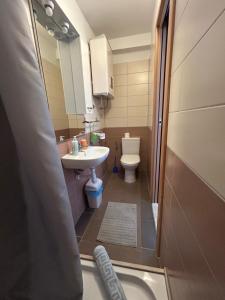 Vannituba majutusasutuses Guesthouse Fjaka