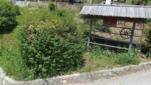 Un jardín fuera de Sobe Tanja
