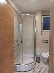 a bathroom with a shower and a toilet at Apartman Pale - Biljana in Pale +8 photos