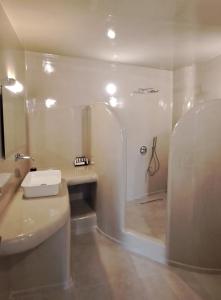 La salle de bains est pourvue d'une douche, de toilettes et d'un lavabo. dans l'établissement Pegasus Spa Hotel, à Imerovigli