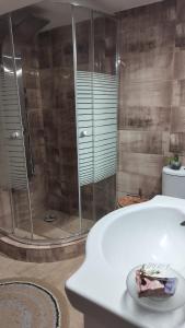 a bathroom with a shower and a white tub at Almia Kotronas in Kotronas