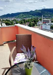 een tafel en stoel met een plant op een balkon bij Apartman Maja in Banja Luka
