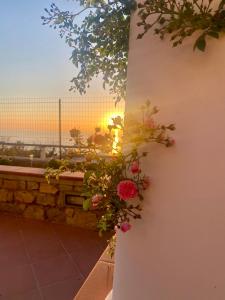 Galeriebild der Unterkunft La Ciammurrella b&b in Anacapri