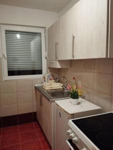 Kuchyň nebo kuchyňský kout v ubytování Vikend kuća Ada