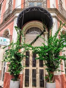 馬瑙斯的住宿－塞林伽酒店，门前有两棵盆栽树的建筑