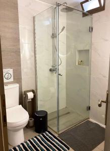 ein Bad mit einer Glasdusche und einem WC in der Unterkunft ''Korifo apartment'' at Benitses in Benitses