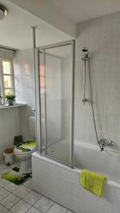 a bathroom with a shower and a toilet at Ferienwohnung Lehmann in Wolfenbüttel +28 photos