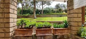 Giardino di Confortevole Bilocale Giardino Doppio Parcheggio