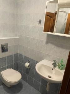 ein Bad mit einem WC und einem Waschbecken in der Unterkunft Pension Luscinia in Harrachov