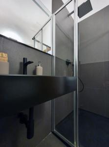 uma casa de banho com um lavatório e uma cabina de duche em vidro. em Sant'Agostino XXXII em La Spezia