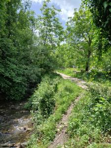 Φωτογραφία από το άλμπουμ του Bujtina Tusha στα Τίρανα +33 φωτογραφίες