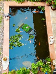 a koi pond with a house in the water at Three Jewels Boutique Hotel in Pokhara