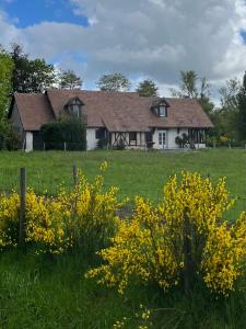 a house in the middle of a field with yellow flowers at Oh ! Fleurs des champs in Chaumont-sur-Tharonne