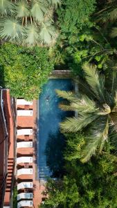 an overhead view of a blue swimming pool with trees at The Urban in Siem Reap