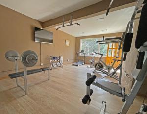 a gym with several treadmills and machines in a room at Rosas Blancas Apart Hotel By Visionnaire in San Martín de los Andes