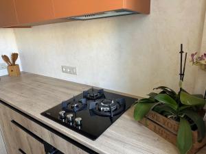 a kitchen counter with a stove top in a kitchen at Terracotta in Kremenchuk
