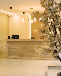 a reception desk with a tree in the foreground at Britto Hotel in Aparecida