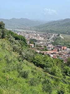 a view of a city from a hill at Guest House Emiljos Flamur in Berat