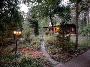 a house in the woods with a path leading to it at Ferienhaus Waldeule in Karwitz
