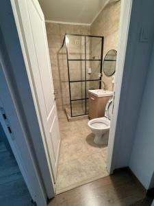 Imagen de la galería de Peony Apartament, en Craiova