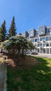 Kjekk urban leilighet في ستافانغر: شجرة بالورود البيضاء أمام المبنى