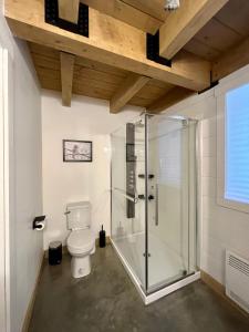 ein Badezimmer mit Dusche und Toilette in der Unterkunft Repaire des bouleaux in Saint-Tite-des-Caps