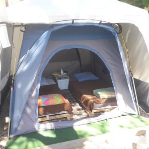 Deux tentes confortables dans un joli jardin idéalement situé في سيت: خيمة فيها سريرين وطاولة فيها