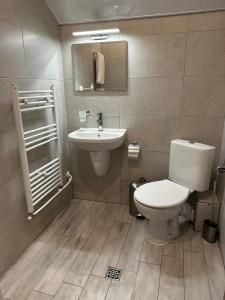 a bathroom with a toilet and a sink at Sunny House Madjare Guest House in Madzhare