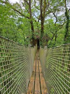 eine schwingende Brücke in einem Park mit Bäumen in der Unterkunft Cabane Dans Les Arbres - Les Lutins in Mechmont