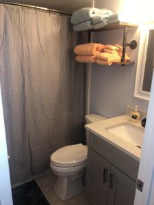 a bathroom with a toilet and a sink and a shower at Gulf Shores Surf & Racquet Club 212A in Gulf Shores
