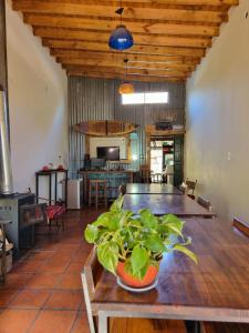 uma sala de jantar com uma mesa com uma planta em Tordillo B&B em Chascomús