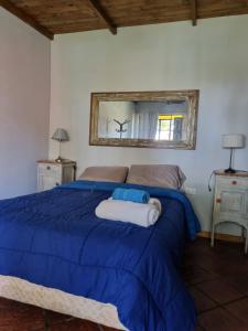 um quarto com uma cama com um edredão azul e um espelho em Tordillo B&B em Chascomús