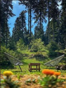twee stoelen en een bank in een veld met bomen bij Vila Dragana in Žabljak