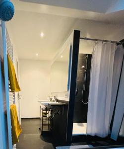 a bathroom with a sink and a shower with a mirror at Lakefront View Entire Apartment with 2 bedrooms, 2 full bathrooms & Balcony Waterview in Reichenau +70 photos