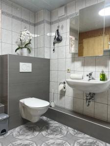 a bathroom with a toilet and a sink at Fewo Haus Ema in Lahr +8 photos